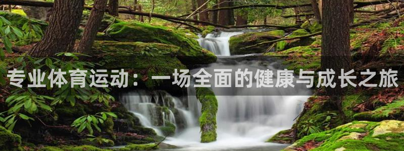 沐鸣零能源集团：专业体育运动：一场全面的健康与成长之旅