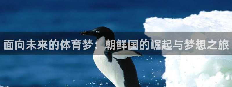沐鸣体育凯捷平台注册：面向未来的体育梦：朝鲜国的崛起与梦想之旅