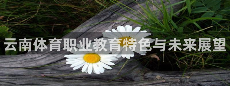 沐鸣体育2：云南体育职业教育特色与未来展望