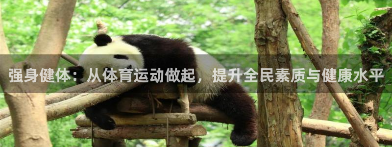 沐鸣2登录：强身健体：从体育运动做起，提升全民素质与健康水平