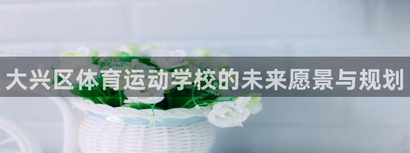 沐鸣在线登录：大兴区体育运动学校的未来愿景与规划