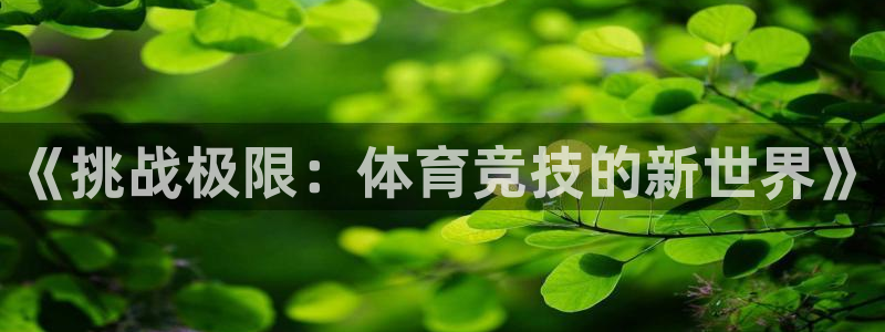 沐鸣体育凯捷平台招商：《挑战极限：体育竞技的新世界》
