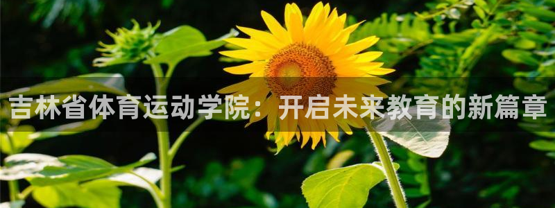 沐鸣2登录：吉林省体育运动学院：开启未来教育的新篇章