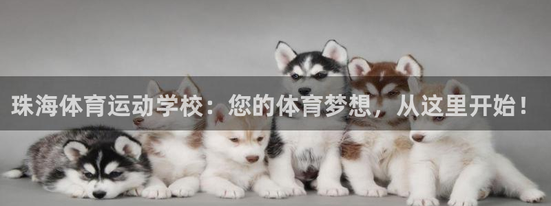 沐鸣网页版地址：珠海体育运动学校：您的体育梦想，从这里开始！