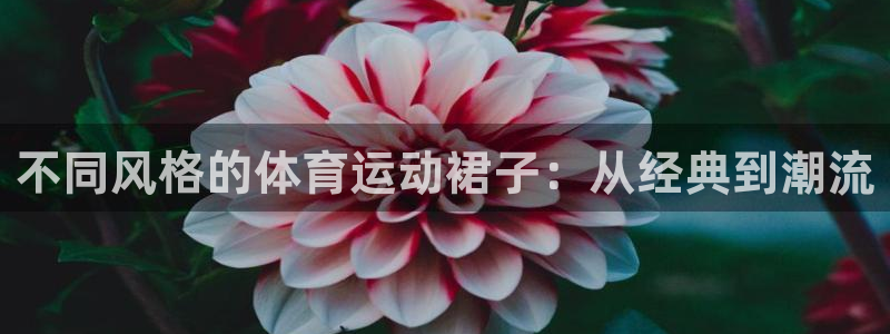 沐鸣平台注册入口：不同风格的体育运动裙子：从经典到潮流
