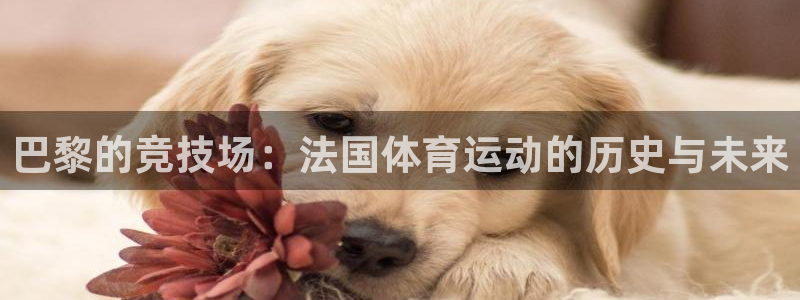 沐鸣2：巴黎的竞技场：法国体育运动的历史与未来
