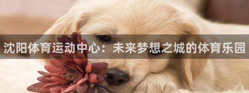 沐鸣平台主管：沈阳体育运动中心：未来梦想之城的体育乐园