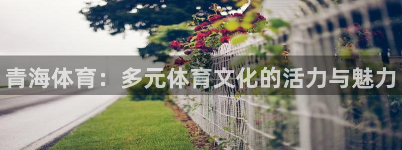 沐鸣登录注册：青海体育：多元体育文化的活力与魅力