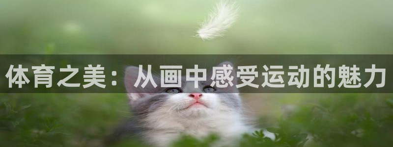沐鸣体育游戏：体育之美：从画中感受运动的魅力