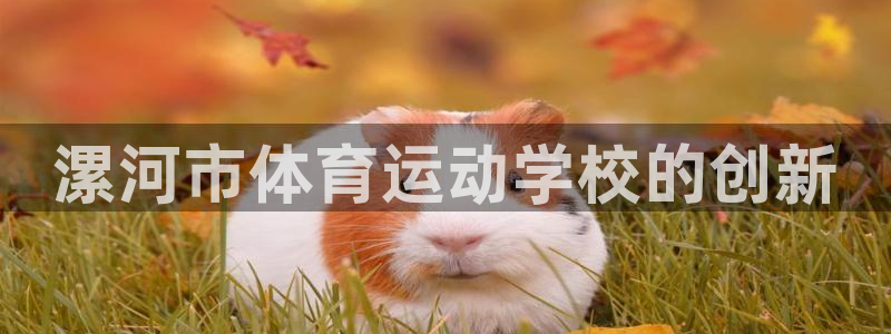 佛山市南海沐鸣机电仪器有限公司：漯河市体育运动学校的创新