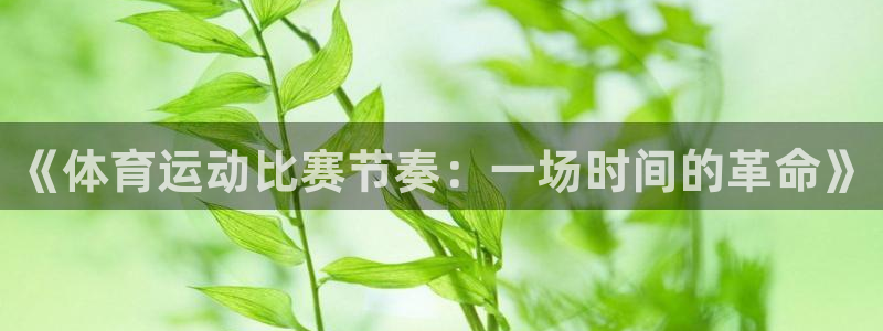 沐鸣集团股票：《体育运动比赛节奏：一场时间的革命》