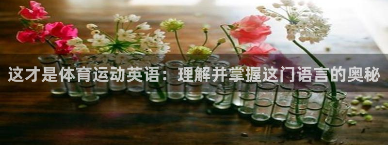沐鸣娱乐：这才是体育运动英语：理解并掌握这门语言的奥秘