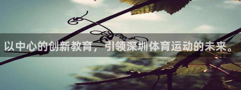 沐鸣登录：以中心的创新教育，引领深圳体育运动的未来。