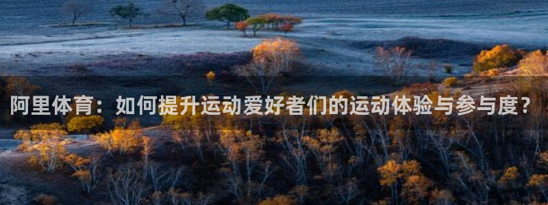 沐鸣3注册：阿里体育：如何提升运动爱好者们的运动体验与参与度？