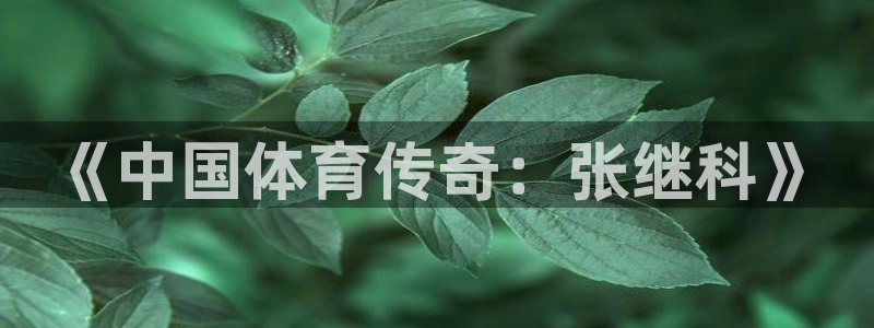 沐鸣2代理注册：《中国体育传奇：张继科》