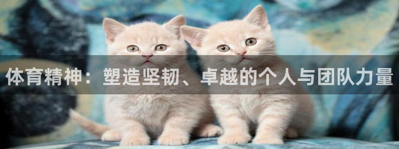 沐鸣体育注册：体育精神：塑造坚韧、卓越的个人与团队力量