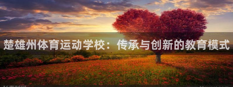 沐鸣平台招商：楚雄州体育运动学校：传承与创新的教育模式