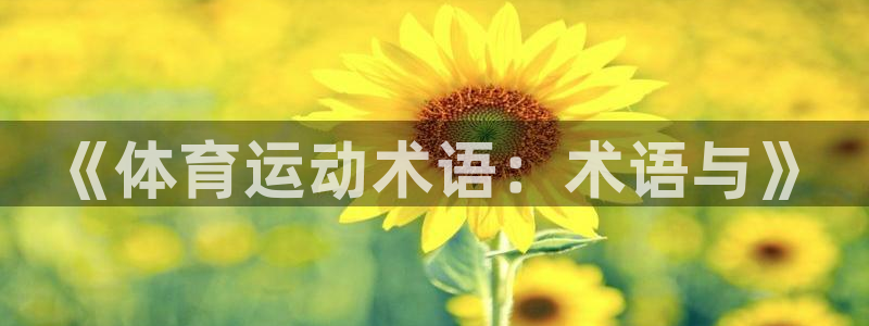 沐鸣体育代理：《体育运动术语：术语与》