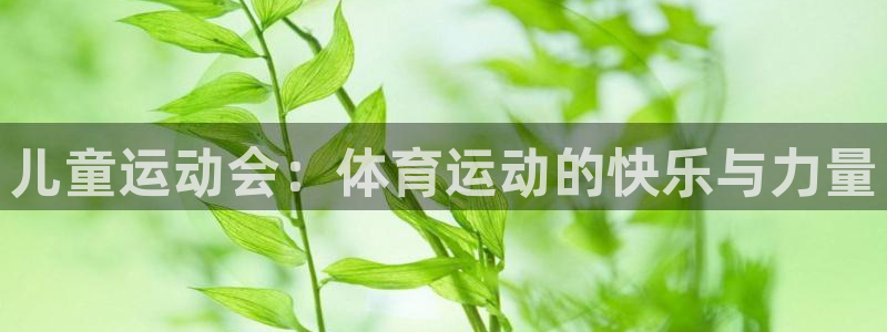 沐鸣4平台：儿童运动会：体育运动的快乐与力量