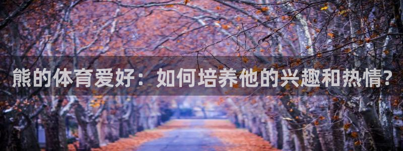 沐鸣2：熊的体育爱好：如何培养他的兴趣和热情?