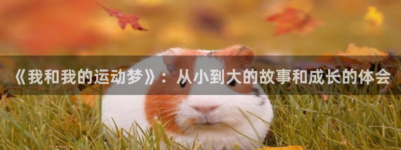 沐鸣娱乐登录：《我和我的运动梦》：从小到大的故事和成长的体会