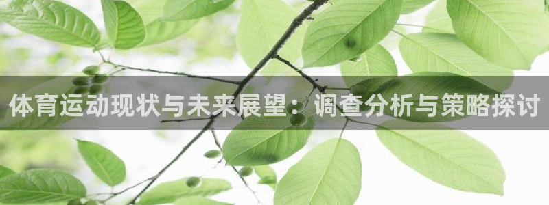 沐鸣2官方登录：体育运动现状与未来展望：调查分析与策略探讨