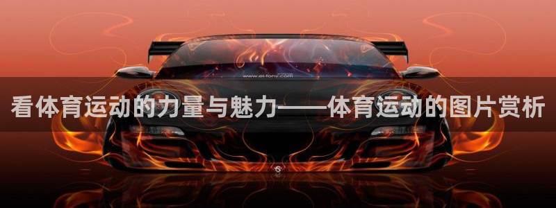 沐鸣3平台登录注册：看体育运动的力量与魅力——体育运动的图片赏析