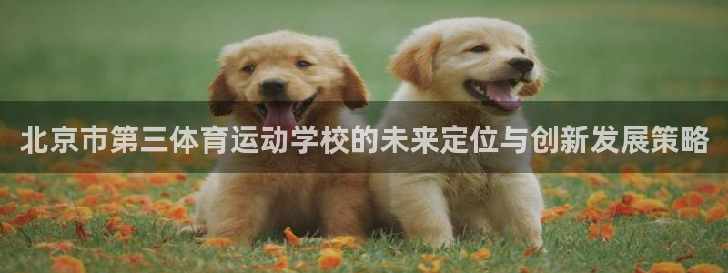 沐鸣娱乐：北京市第三体育运动学校的未来定位与创新发展策略