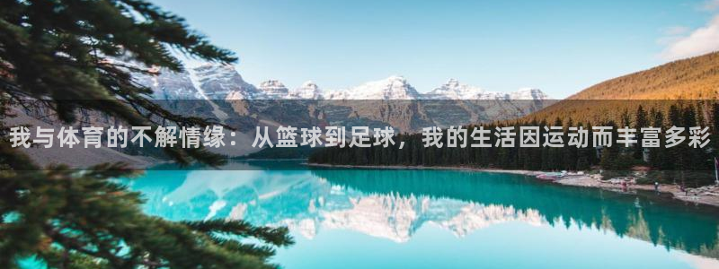 沐鸣2登录地址：我与体育的不解情缘：从篮球到足球，我的生活因运动而丰富多彩